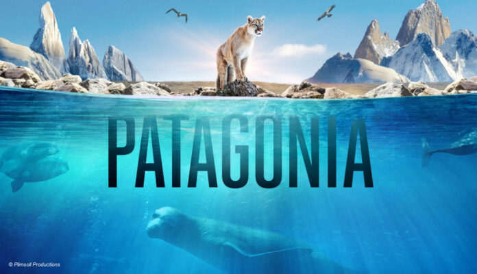 Logo Patagonia