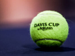 Davis Cup Tennisball