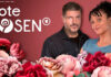 Rote Rosen Logo und Hardy Krüger jr.