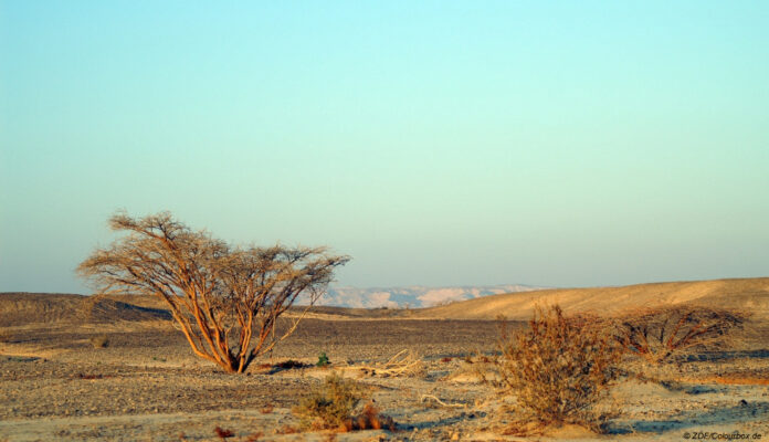 Wüste Timna-Nationalpark