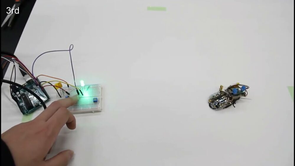 #Super-Cyborgs: Forscher in Japan entwickeln ferngesteuerte Schaben