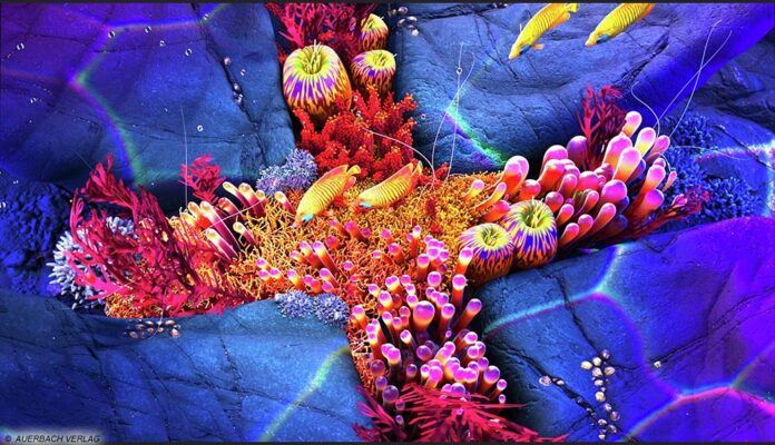 Bildinhalt Titelbild OLED937 Titelbild zum Test des Philips OLED937 mit fluoreszierenden Fischen und Korallen vor einem violett leuchtenden Hintergrund