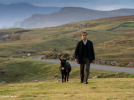 Colin Farrell und ein Esel auf einer Wiese