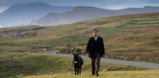 Colin Farrell und ein Esel auf einer Wiese