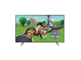 ocilion nick jr.
