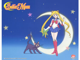 Sailormoon The Pretty Guardian