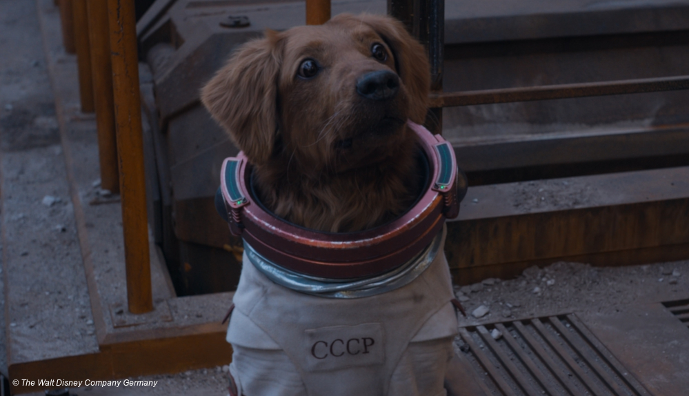 Ein Hund im Kosmonautenkostüm