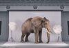 Gewalt und Machtmissbrauch am Filmset wie im Fall Til Schweiger - der Elefant im Raum