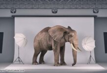 Gewalt und Machtmissbrauch am Filmset wie im Fall Til Schweiger - der Elefant im Raum