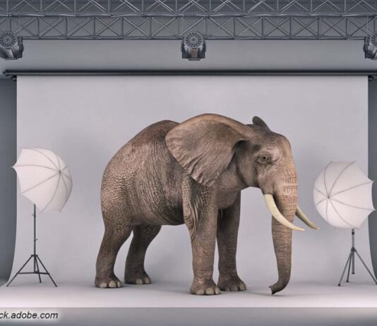 Gewalt und Machtmissbrauch am Filmset wie im Fall Til Schweiger - der Elefant im Raum