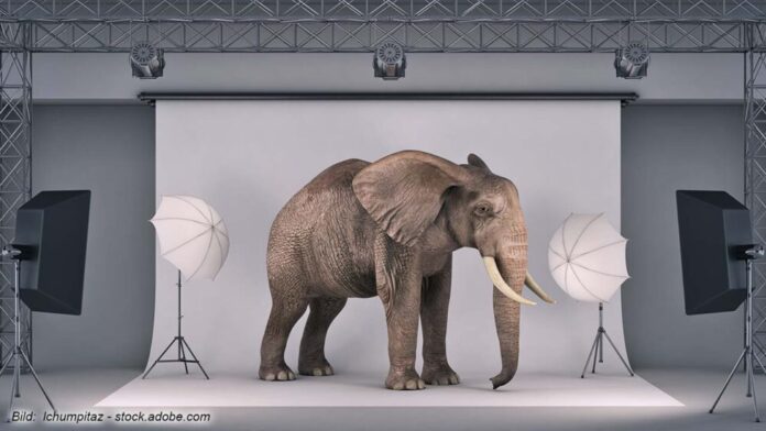 Gewalt und Machtmissbrauch am Filmset wie im Fall Til Schweiger - der Elefant im Raum