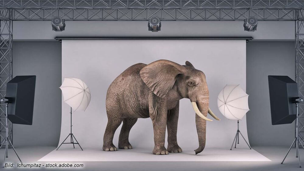 #Terror an Film- und TV-Sets: Der Elefant im Raum