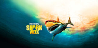 Shark Week Logo mit Hai