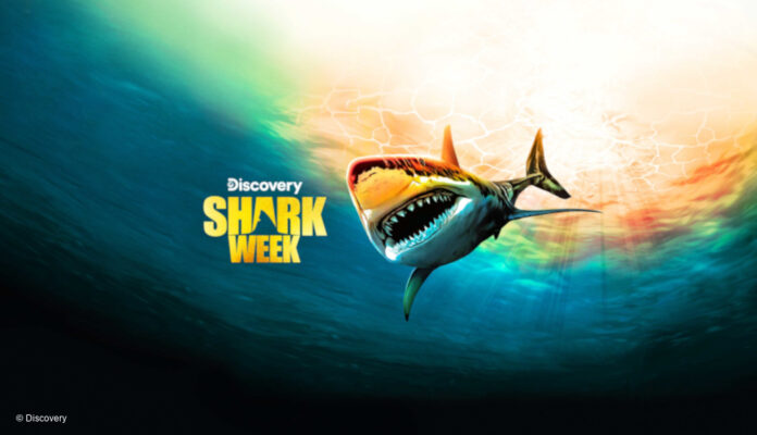 Shark Week Logo mit Hai