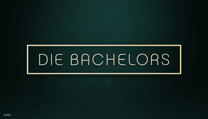 Die Bachelors Logo