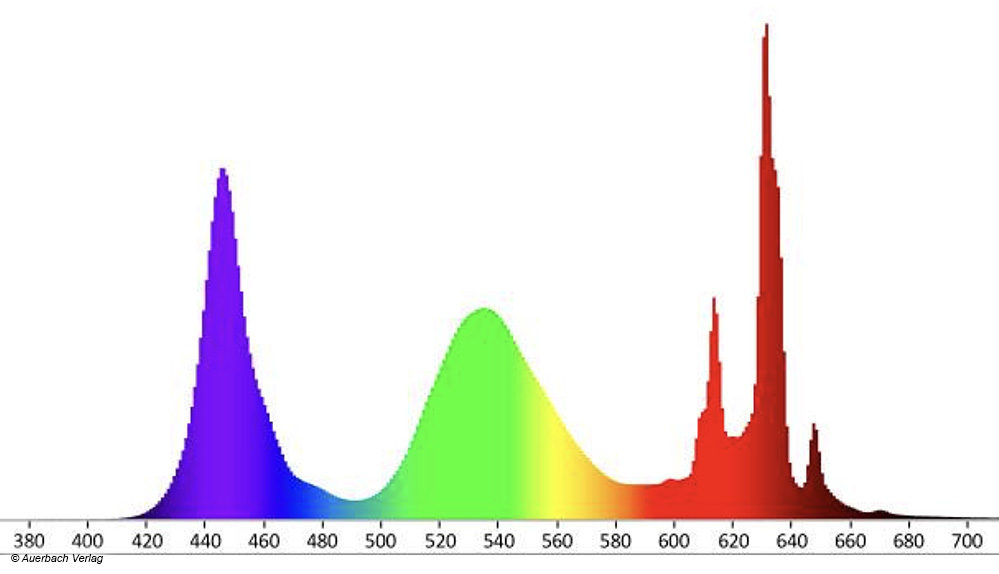 Trotz Einsatz von Quantum-Dots und eines Mini-LED-Backlights setzt TCL auf eine Kombination mit Phosphorelementen. Neben einer 120-/144-Hz-Signalzuspielung in 4K-Qualität gelingt auch eine Anzeige auf 240-Hz-Niveau, wenngleich die Auflösung in diesem speziellen Fall auf 1080p-Niveau gedrosselt wird