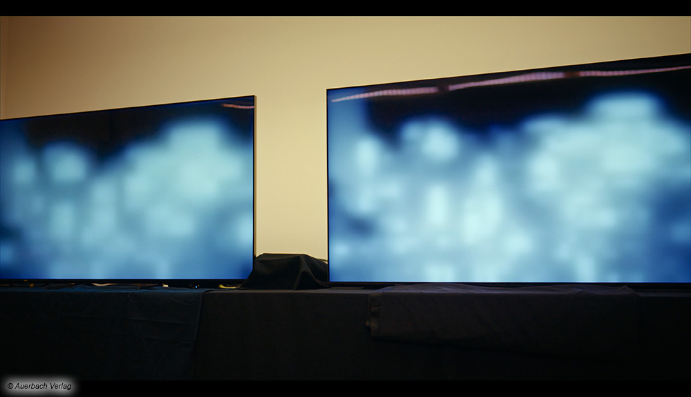 Der Vergleich der Mini-LED-Hintergrundbeleuchtung (2023er-Modell X95L links, 2024er-TV-Prototyp rechts) zeigt, dass die neue Variante bessere Kontraste und eine feinere Detailwiedergabe ermöglicht, was zu geringeren Blooming- und Halo-Effekten führt