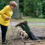"Miss Merkel - Mord auf dem Friedhof"