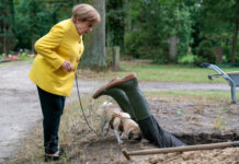 "Miss Merkel - Mord auf dem Friedhof"