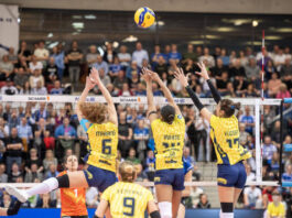 Volleyball Frauen Bundesliga