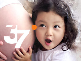 "37 Grad" ZDF