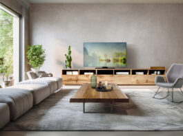Panasonic OLED Z80A