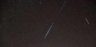 Schräg nach oben fliegend, konnten am 27. Oktober die in der Nacht zuvor gestarteten Starlink-Satelliten gut beobachtet werden
