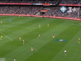 Sportdigital1+