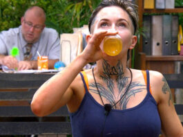 Ibes 2025