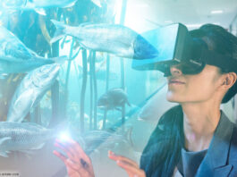 Virtuell angeln Fische