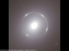 Ein vom Euclid-Weltraumteleskop aufgenommener Einstein Ring. Im Zentrum liegt die Galaxie NGC 6505