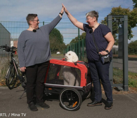 Der Hundeprofi - Rütters Team 2025