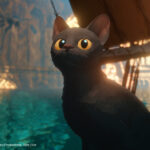 Katze in "Flow"