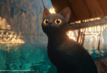 Katze in "Flow"