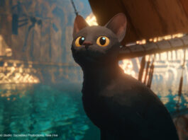 Katze in "Flow"