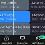 EPG Waipu Stingray Musiksender