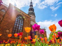 Eine Kirche hinter Tuplen