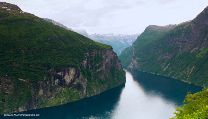 df-phoenix-norwegen