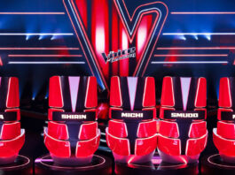 the voice of germany Staffel15 2025