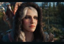 The Witcher IV