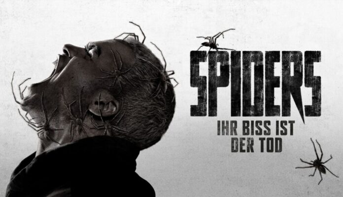 Spiders_PlaionPictures