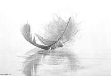 Trauer Abschied