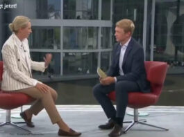 ARD Sommerinterview Weidel