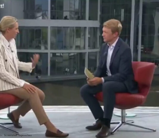 ARD Sommerinterview Weidel