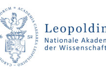 Leopoldina: Kinder und Jugendliche besserer vor Social Media schützen.
