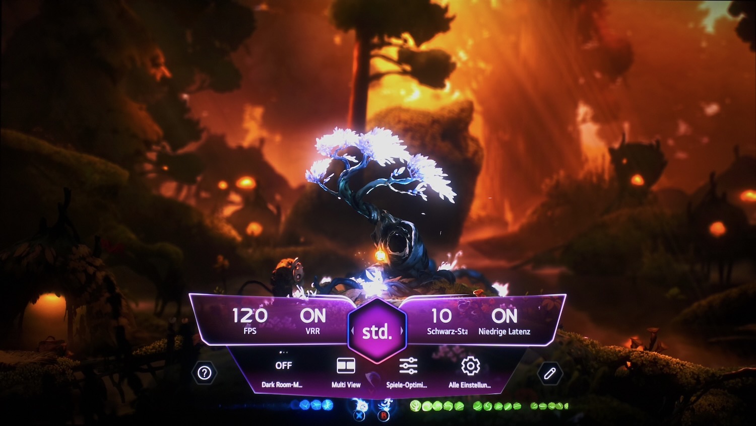 LG OLED M5 Gaming
