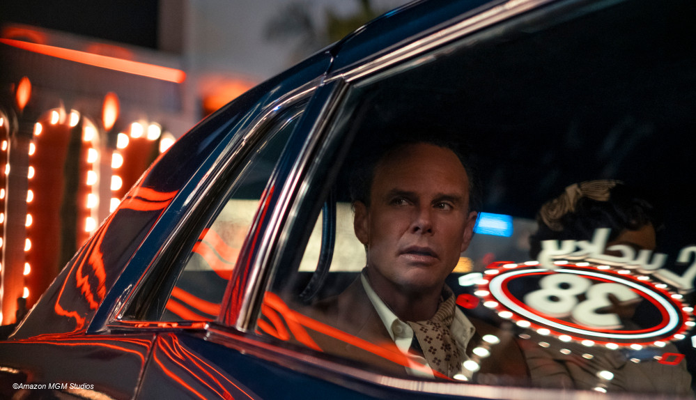 "Fallout", Staffel 2, Walton Goggins