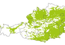 Wie Österreich ASA in sein „Digitalisierungskonzept 2025“ integriert.